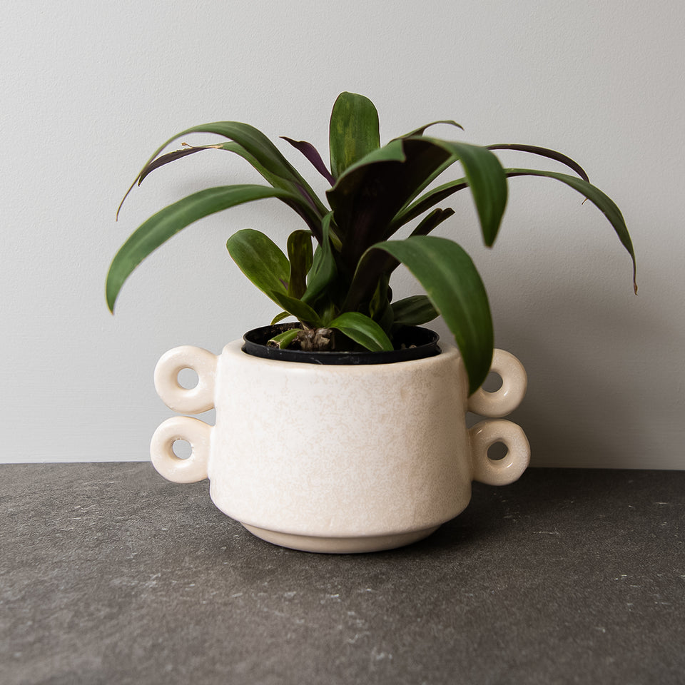 Loops Contemporary Ceramic Pot