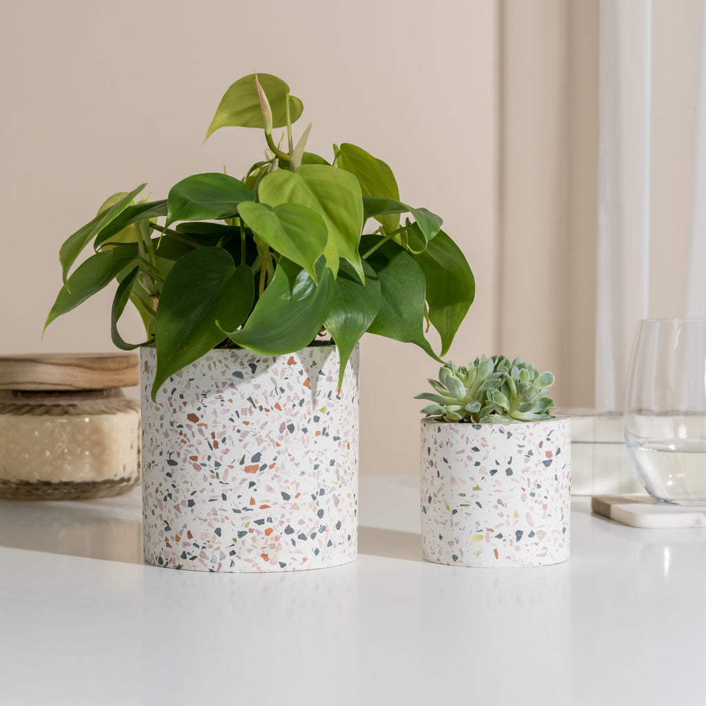 terrazzo hanging planter Terrazzo Pot 4.5"