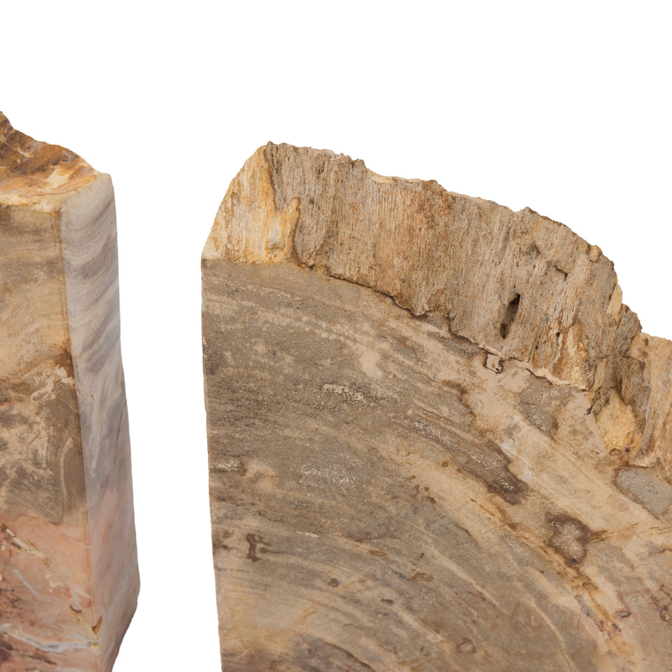 Petrified Teak Bookends