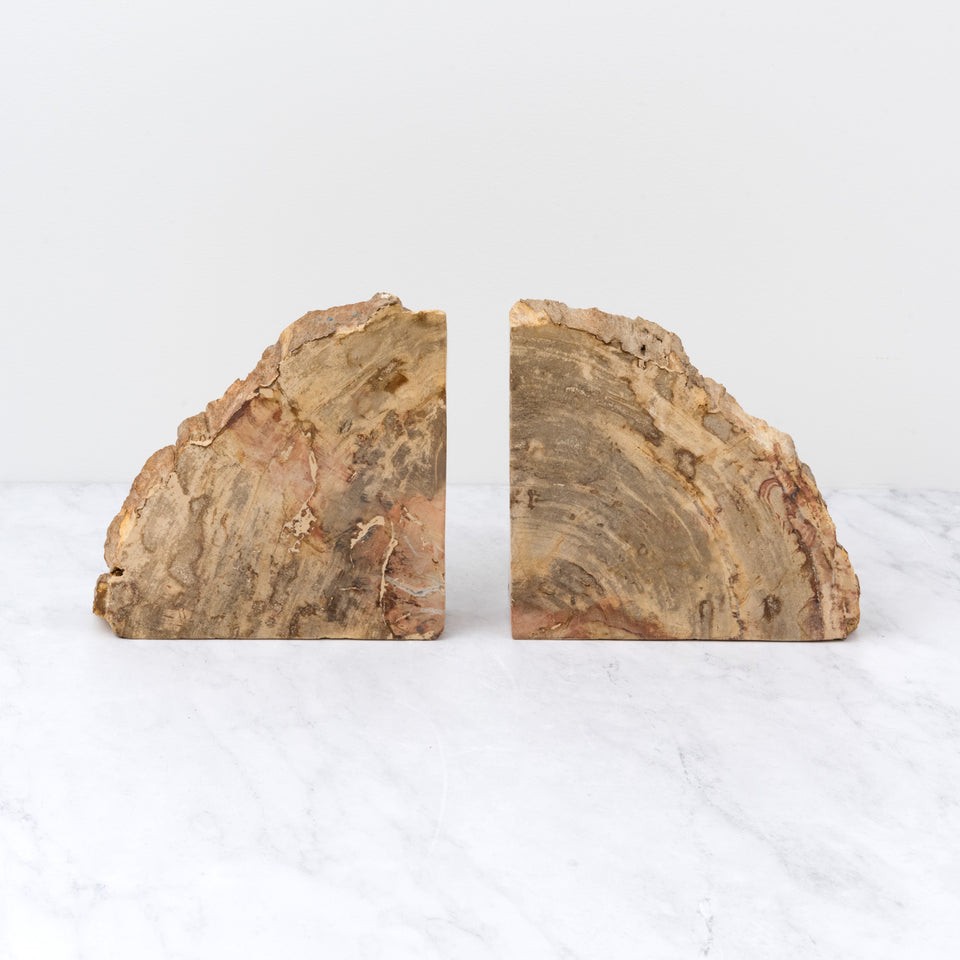 Petrified Teak Bookends