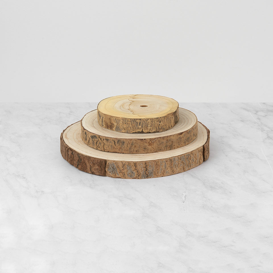 Paulownia Wood Slice