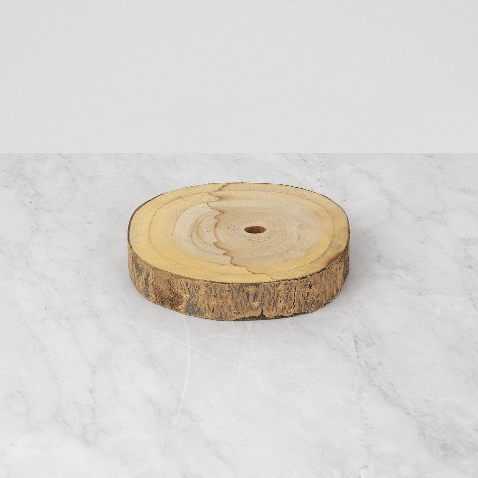 Paulownia Wood Slice