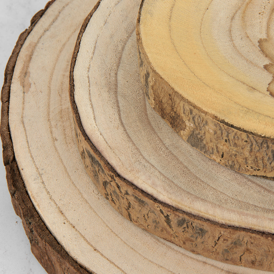 Paulownia Wood Slice