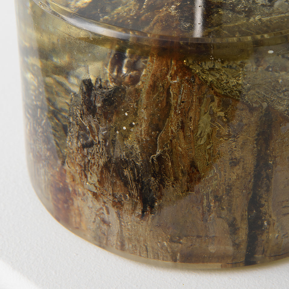 Petrified Teak Decorative Piece with Resin Base