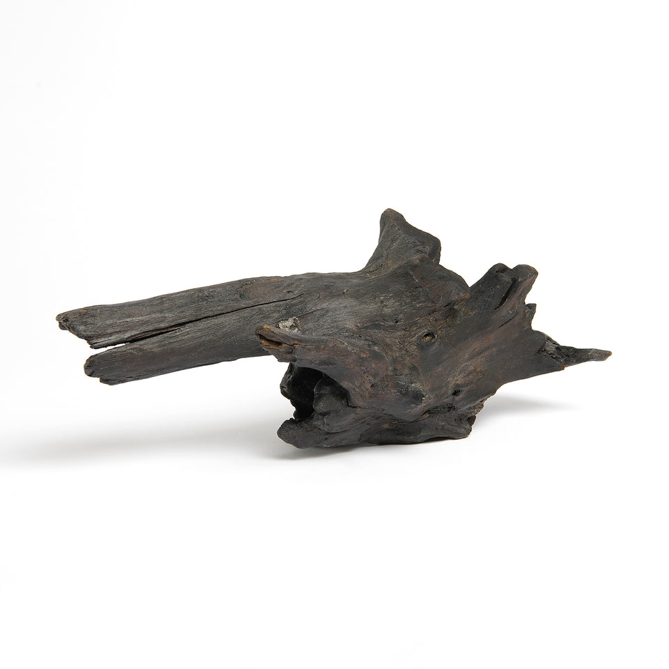 Teak Root Sculpture