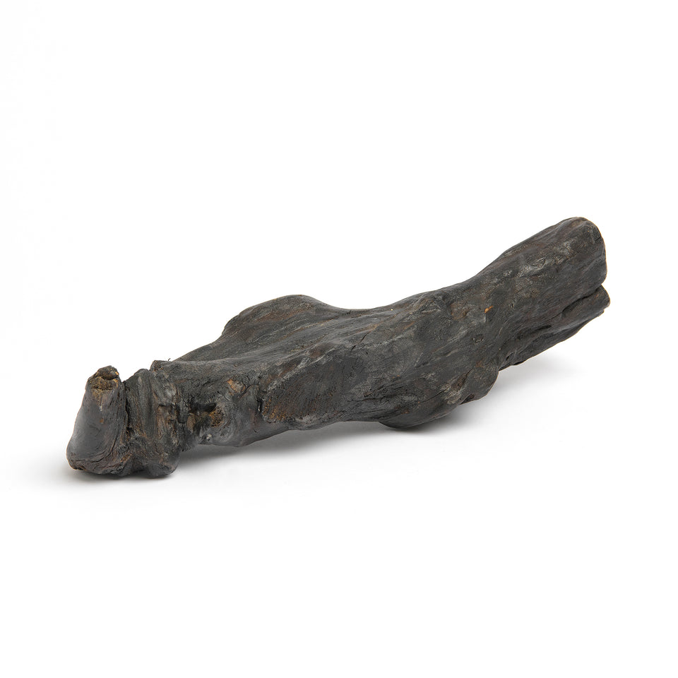 Teak Root Sculpture