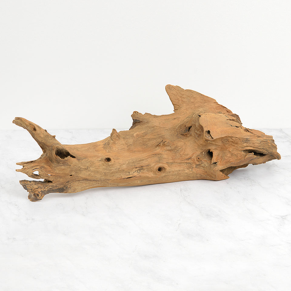 Teak Root Sculpture