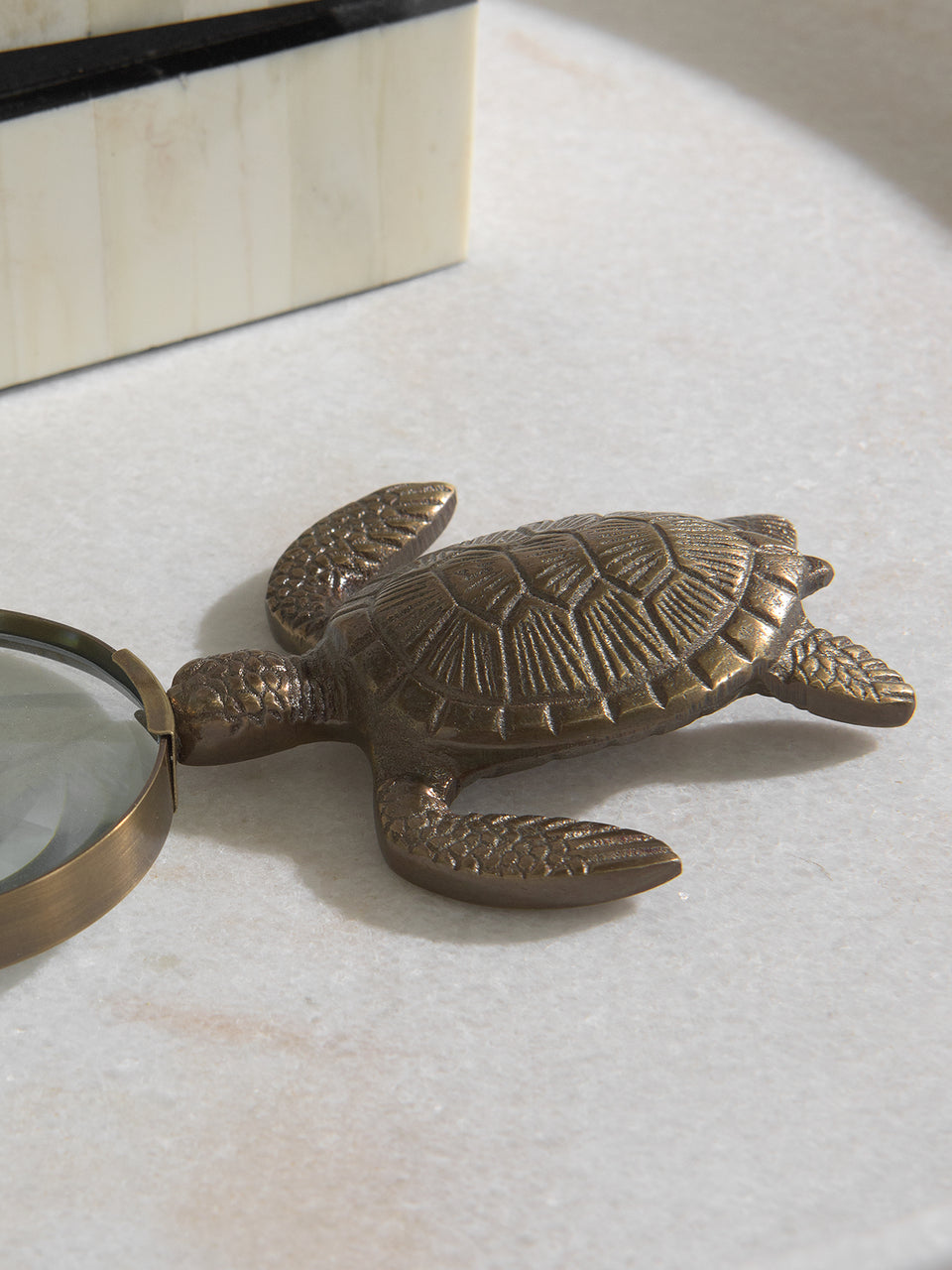 Brass Turtle Magnifying Glass