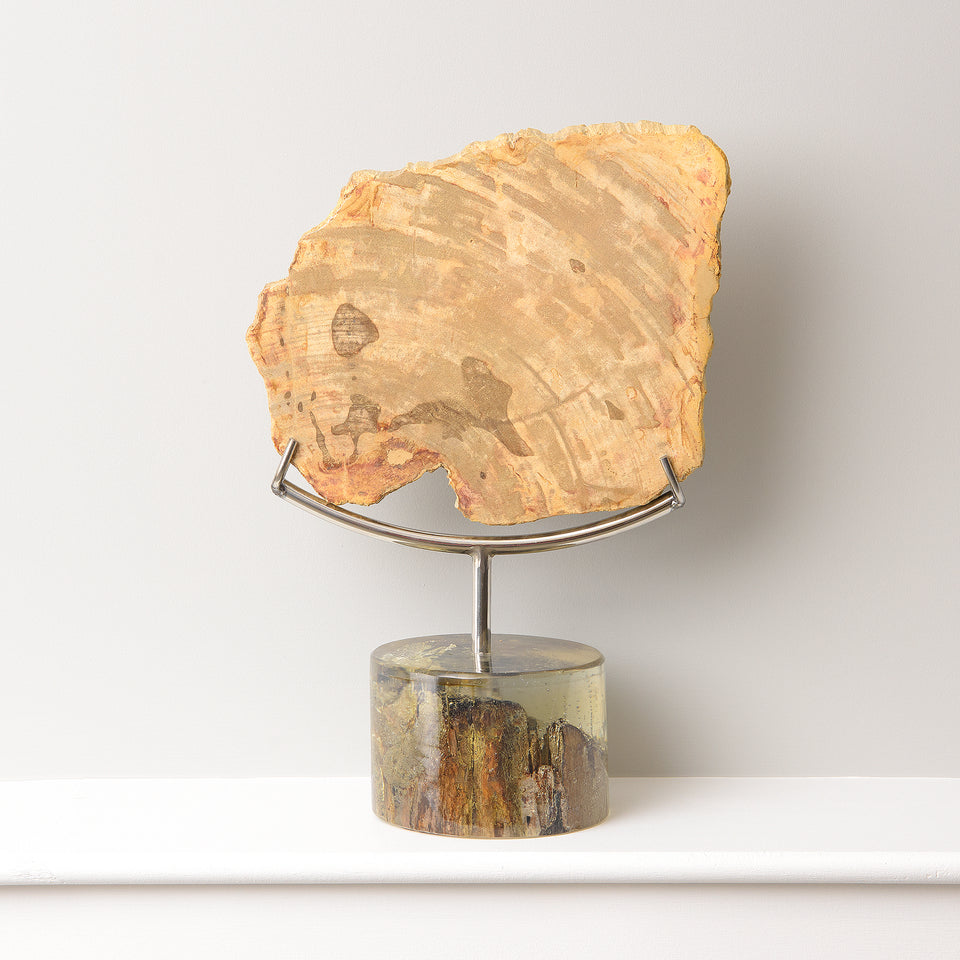 Petrified Teak Decorative Piece with Resin Base