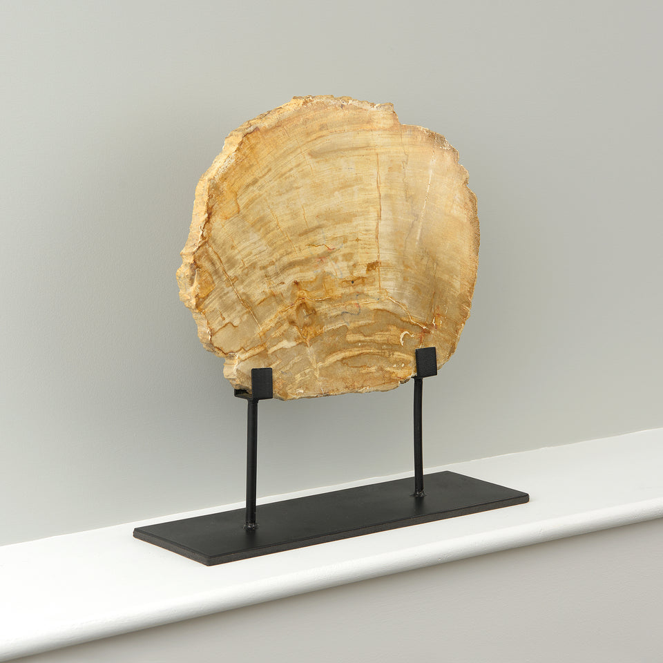 Petrified Teak Decorative Piece on Stand