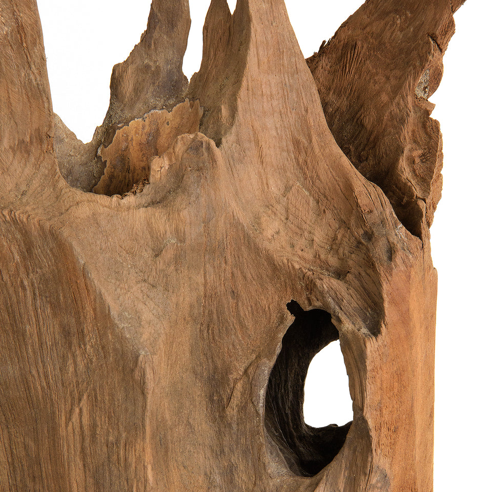 Teak Root Sculpture on Stand