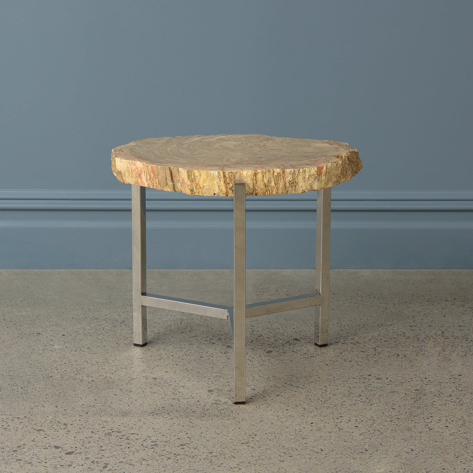 Petrified Teak Side Table with Stainless Steel Base