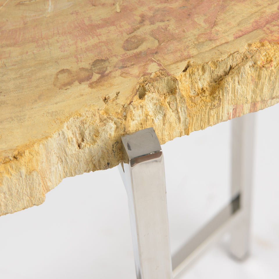Petrified Teak Side Table with Stainless Steel Base