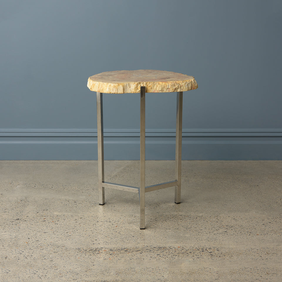 Petrified Teak Side Table with Stainless Steel Base