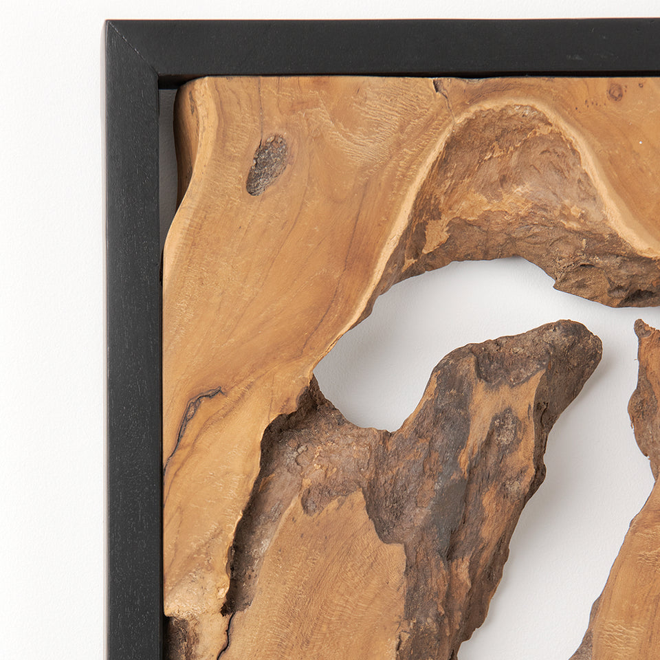 Framed Teak Root Wall Art