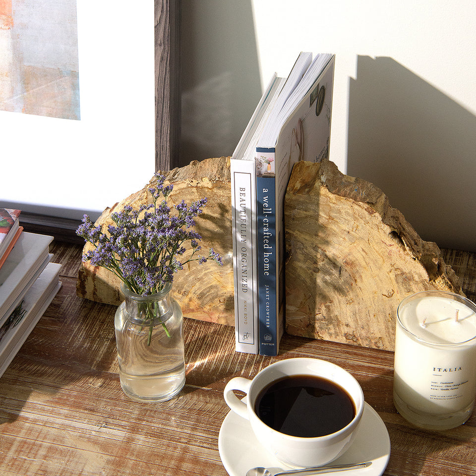 Petrified Teak Bookends